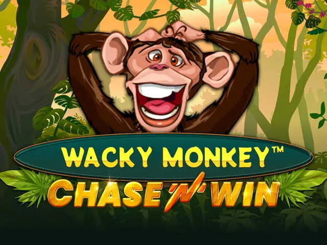 Wacky Monkey Chase 4 Win